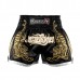 Hayabusa - Premium Muay Thai Shorts, musta