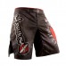 Hayabusa - Spirit of the Fighter Shorts